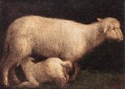BASSANO, Jacopo Sheep and Lamb dghj oil painting artist